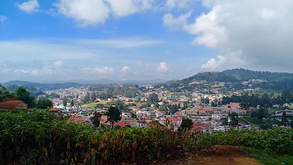 Phoenix View Stay Cottage