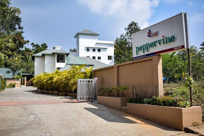 Hotel PepperVine Thekkady