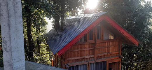 Tree Cabin (your own tree house)- Best Tree house in Jibhi