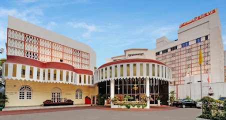 Ambassador Pallava Chennai
