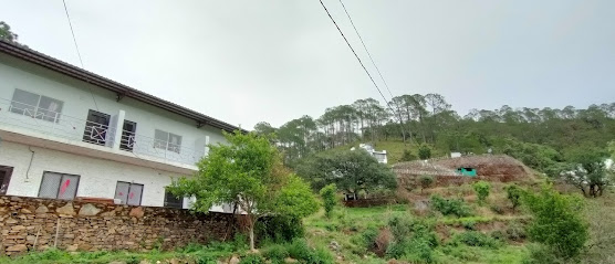 The Green Pine Cottage , Lansdowne