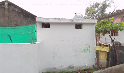 महाराजा शटर्स