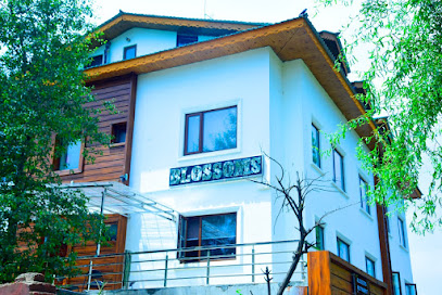 Hotel Blossoms