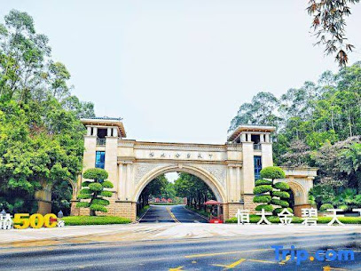 Qingyuan Hengda Gulong huangteng drift net red hot spring villa