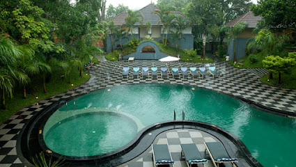 The Elephant Court