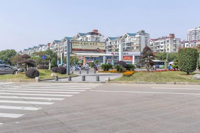 Xana Lite Yichun Fengcheng Municipal Government BR