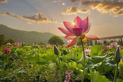 Changshun Shenquan Valley Firefly Hotel