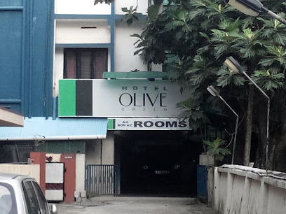 Hotel Olive Green