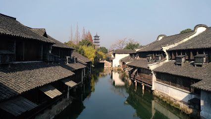 紫藤国际青年旅舍