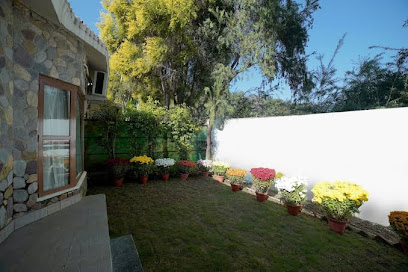 Tarika's Jungal Park