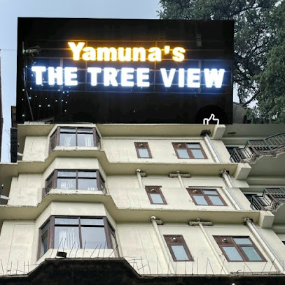 THE TREE VIEW