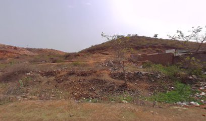 Punam