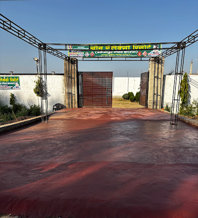 Green Galaxy Resort By Vivek umrao