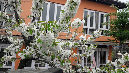 BLOOMING DALE