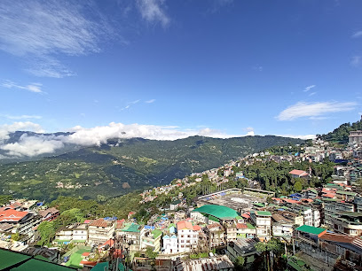 Hotel Mist Tree Mountain