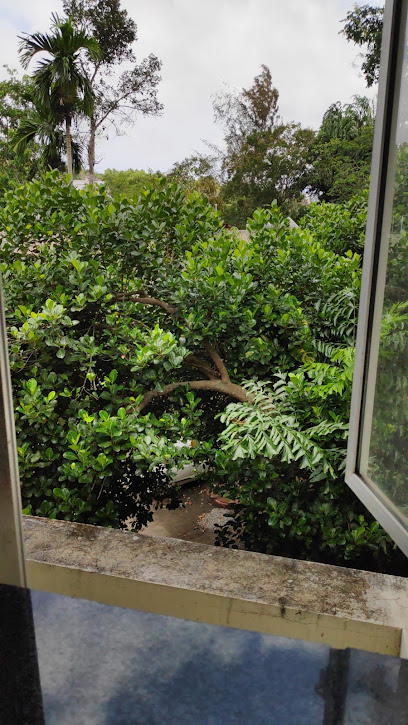 OYO 44124 Peace Rooms