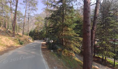 Parvati Woods Cottage