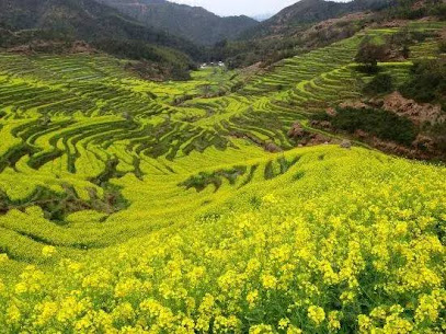 Huangling Impression Boutique Hostel