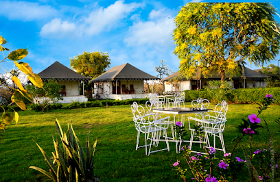 Cattle Inn - Best Resort in Pushkar