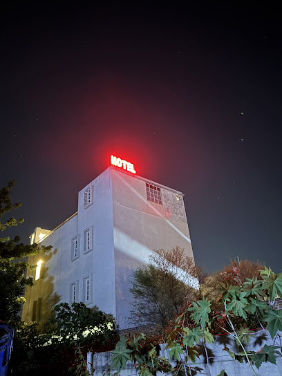 Hotel dream light deluxe udaipur