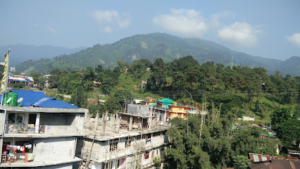OYO 44821 Hotel Paane