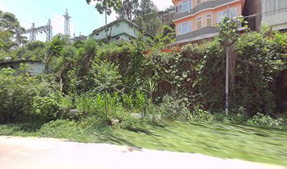 Hotel Mount Emerald Sikkim