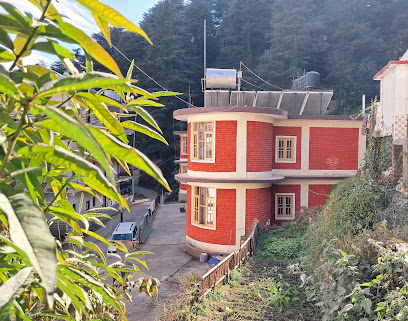 Out of the Blue, Guest House