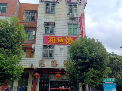 Wuping Longfa Hotel
