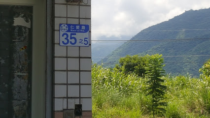 星成曼波鱼