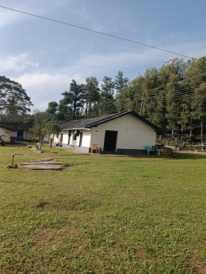 Coffee Estate Homestay