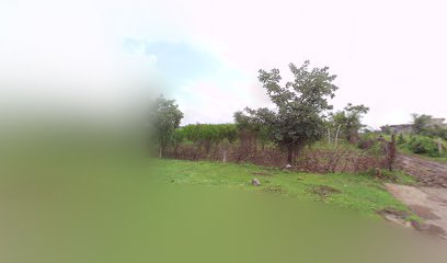 Nalkheda bhumi place