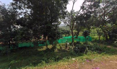 Lucky RRR Resort