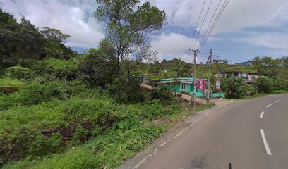 BLUEBERRY HOME STAY