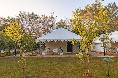 Tiger Woods Ranthambhore