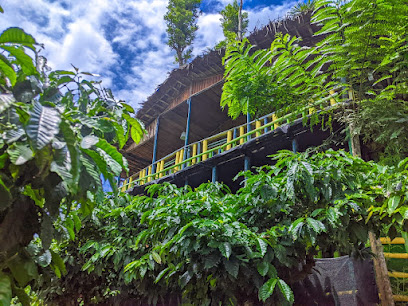 The Mountain Tree Home