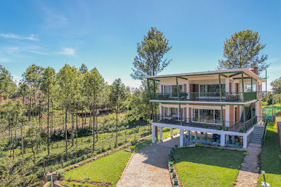 Tranquil Haven Kotagiri