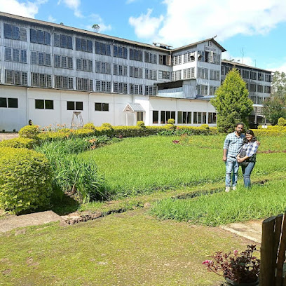 Silver Trees Plantation Tree House Munnar