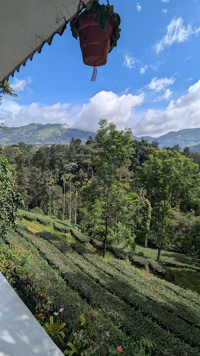 Green Tea View Homestay