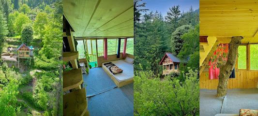 Jibhi nature tree house.
