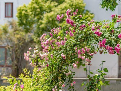 Shuiyue Huanghun Inn