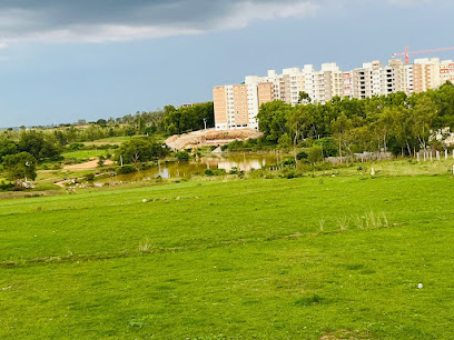 Green View Stays