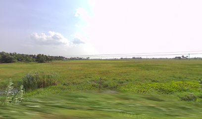 Michael's Island Resort