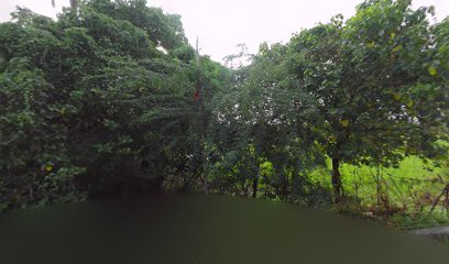 Arun Hotel