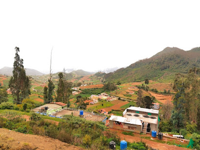 BS Dreamz Ooty