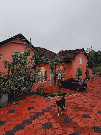 Cherry Blossoms Stay