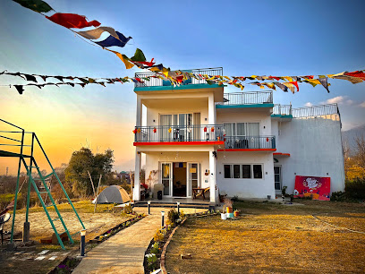 Solo Monkey Hostel