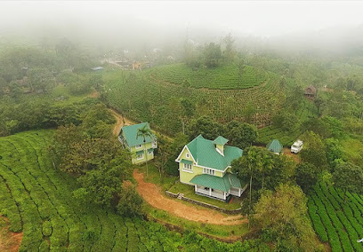 Lavender Vagamon