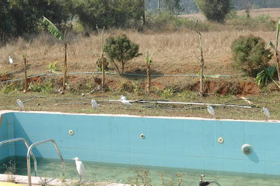 HORNBILL DELUX HILL RESORT by Aquila Icon.