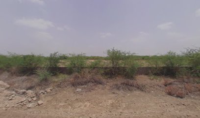 MS Dhoni Cricket Stadium