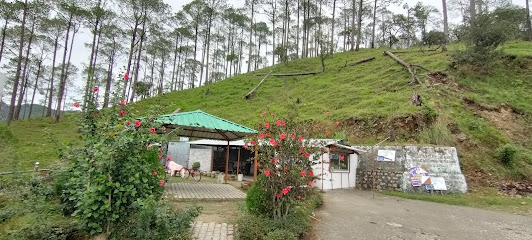 The Green Pine Cottage , Lansdowne